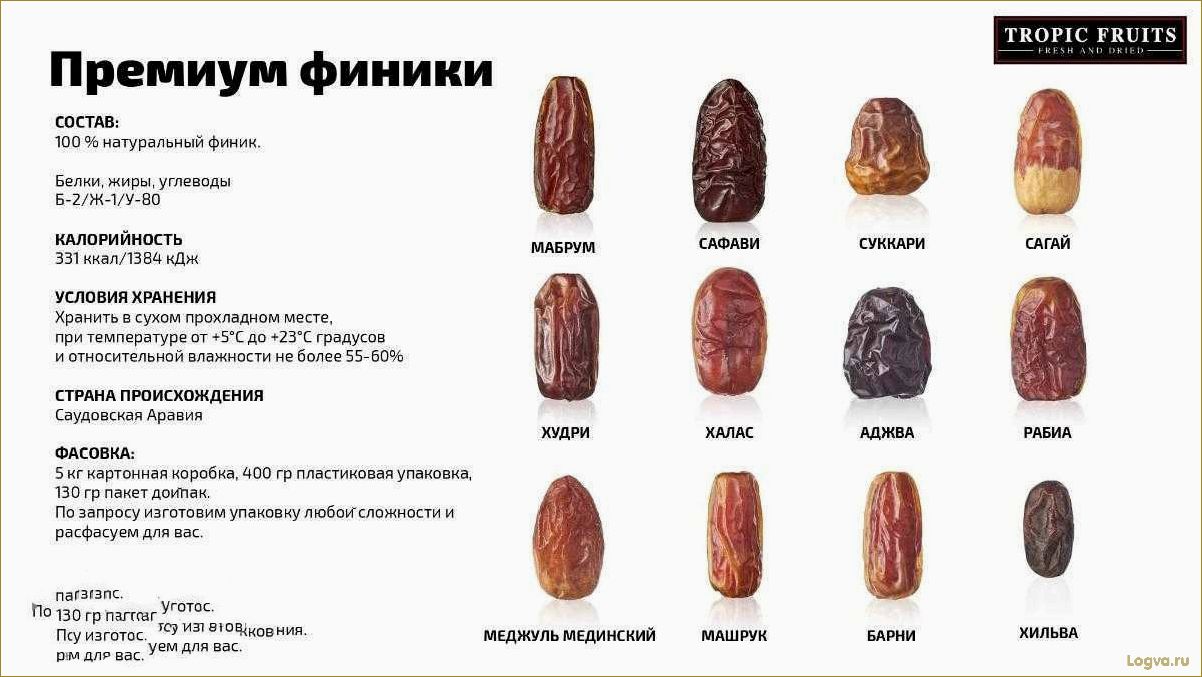 (финики, полезные, свойства, калорийность) Финики: полезные свойства и калорийность