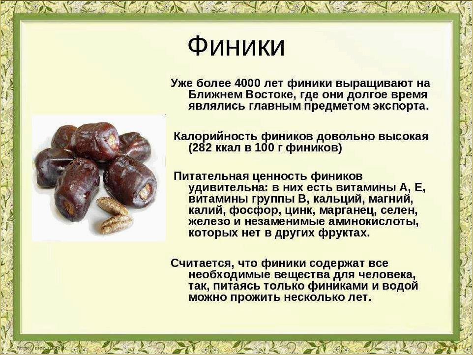 (финики, полезные, свойства, калорийность) Финики: полезные свойства и калорийность