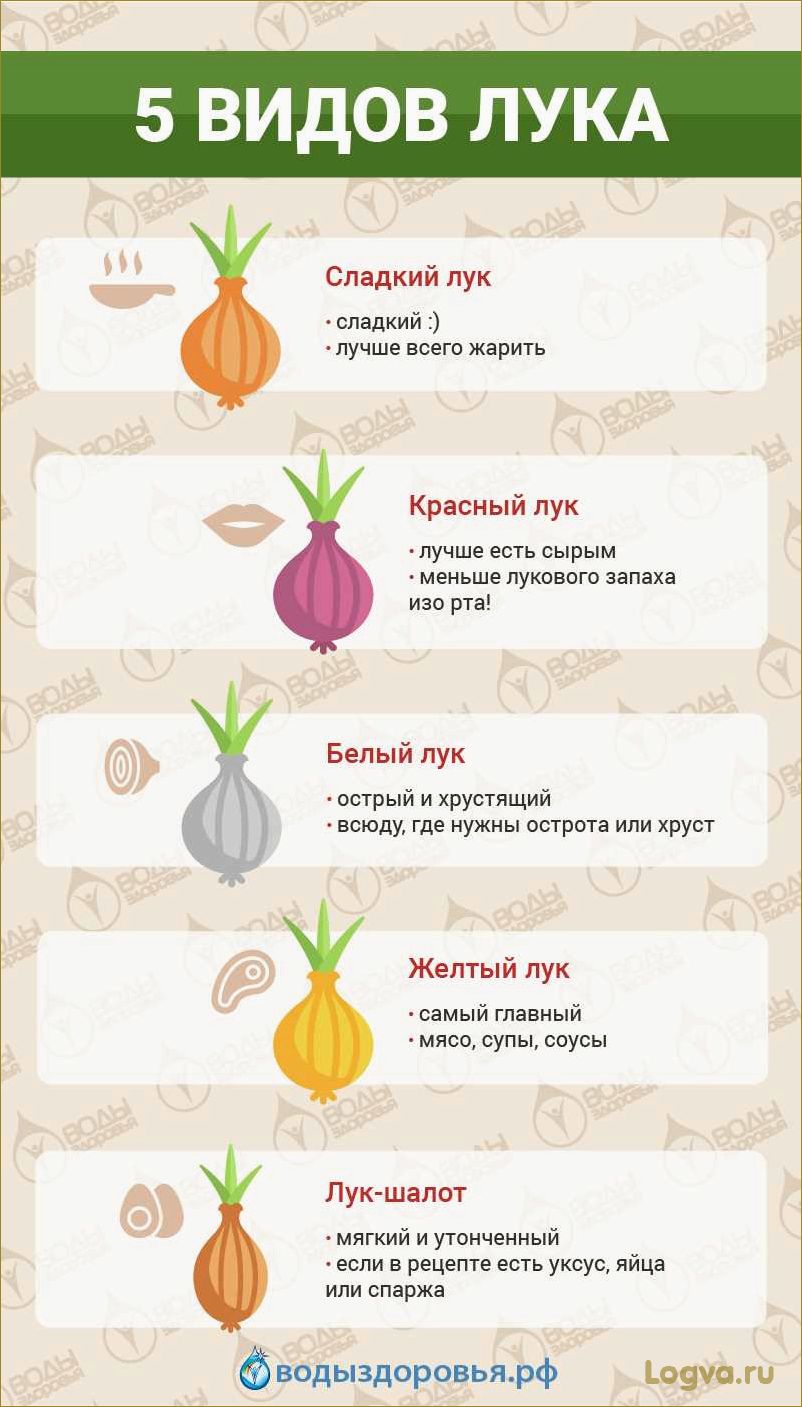 Луковая диета: преимущества, рецепты и советы