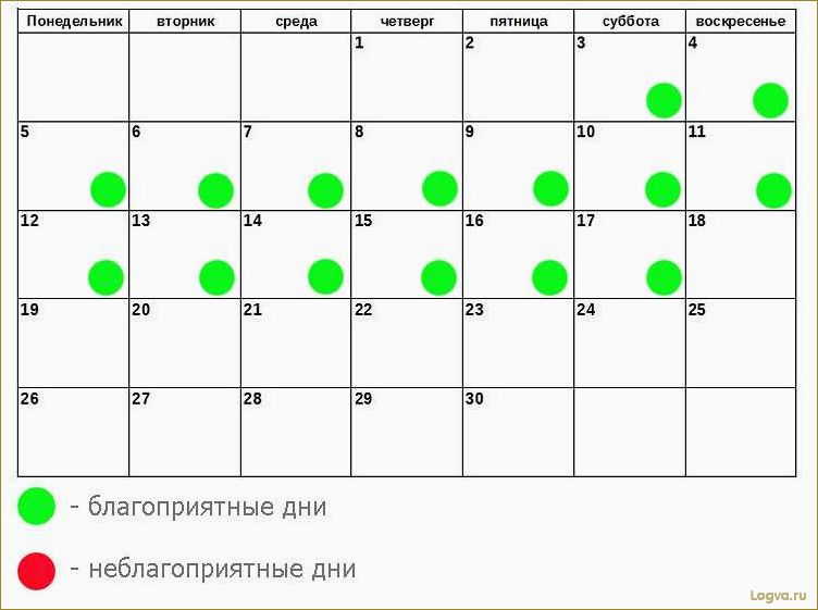 (лунная, диета, женщин, лунному, календарю) Лунная диета для женщин: диета по лунному календарю 2010 и диета по фазам луны