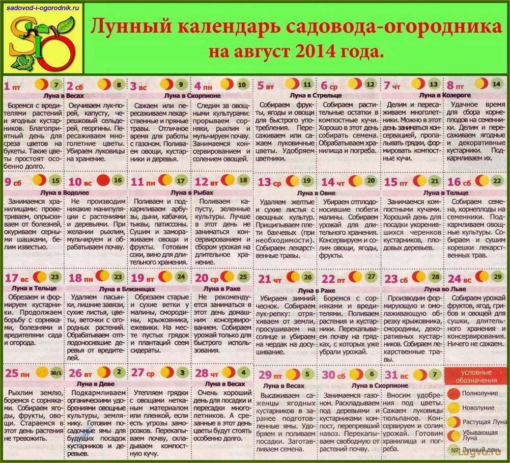 (лунная, диета, женщин, лунному, календарю) Лунная диета для женщин: диета по лунному календарю 2010 и диета по фазам луны