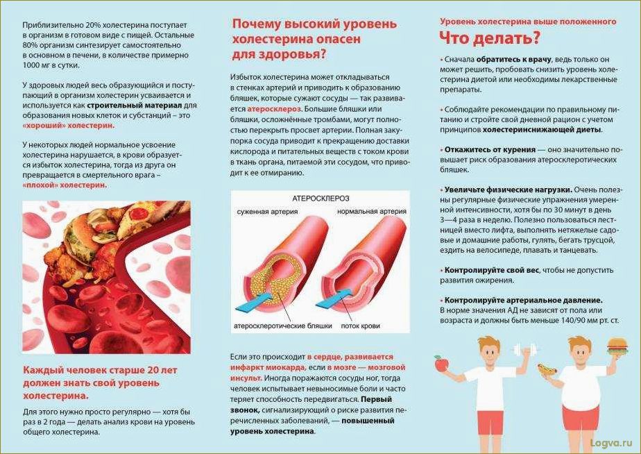 Контроль уровня холестерина в крови: важно ли знать свои показатели?