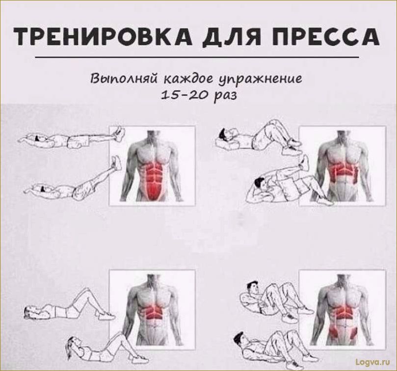 Упражнения для верхнего пресса