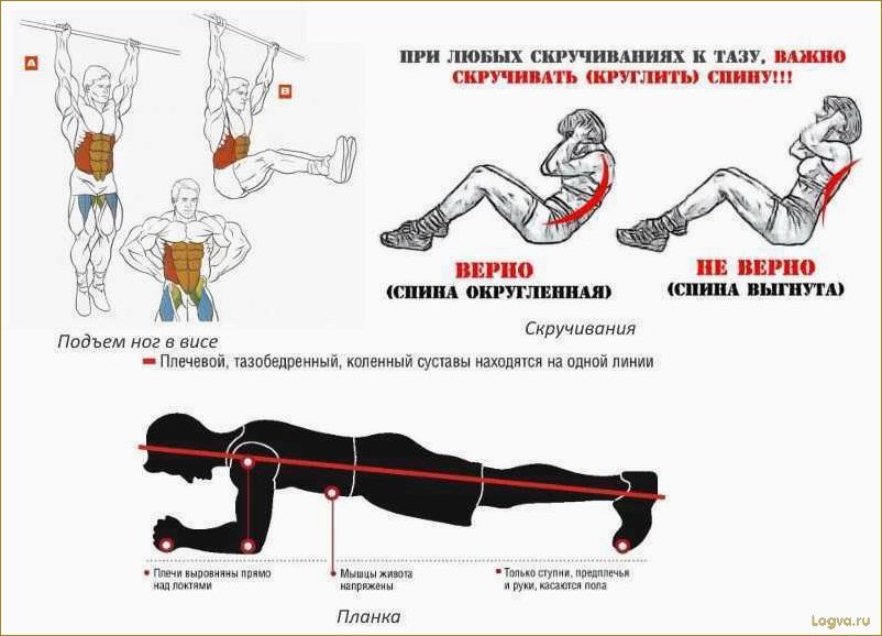 Упражнения для верхнего пресса