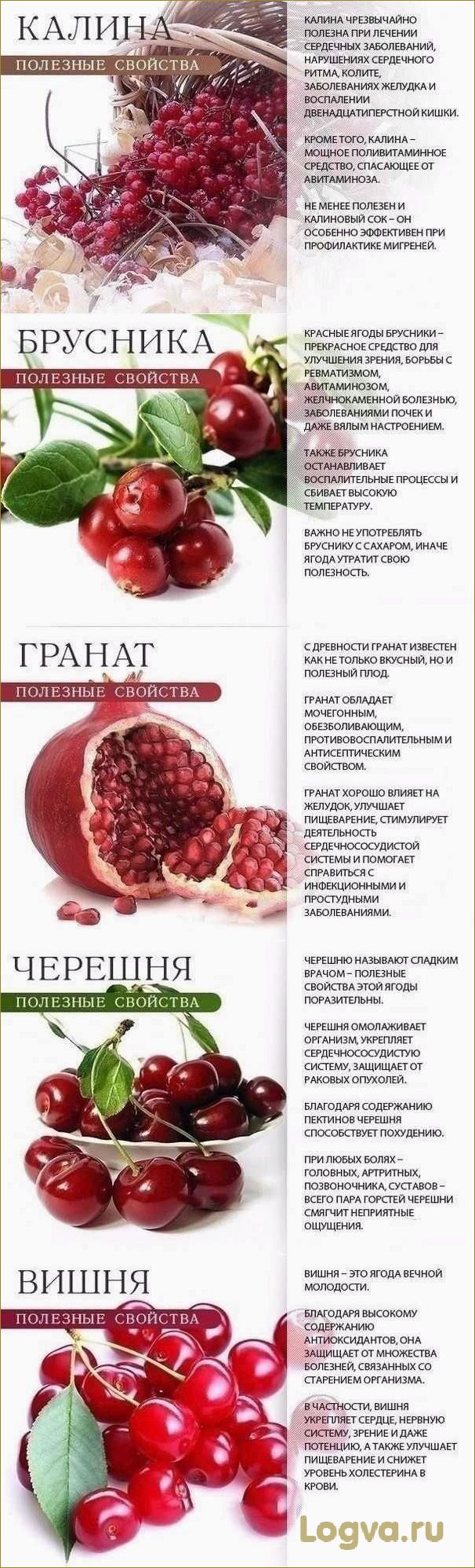 Черешня. Полезные свойства
