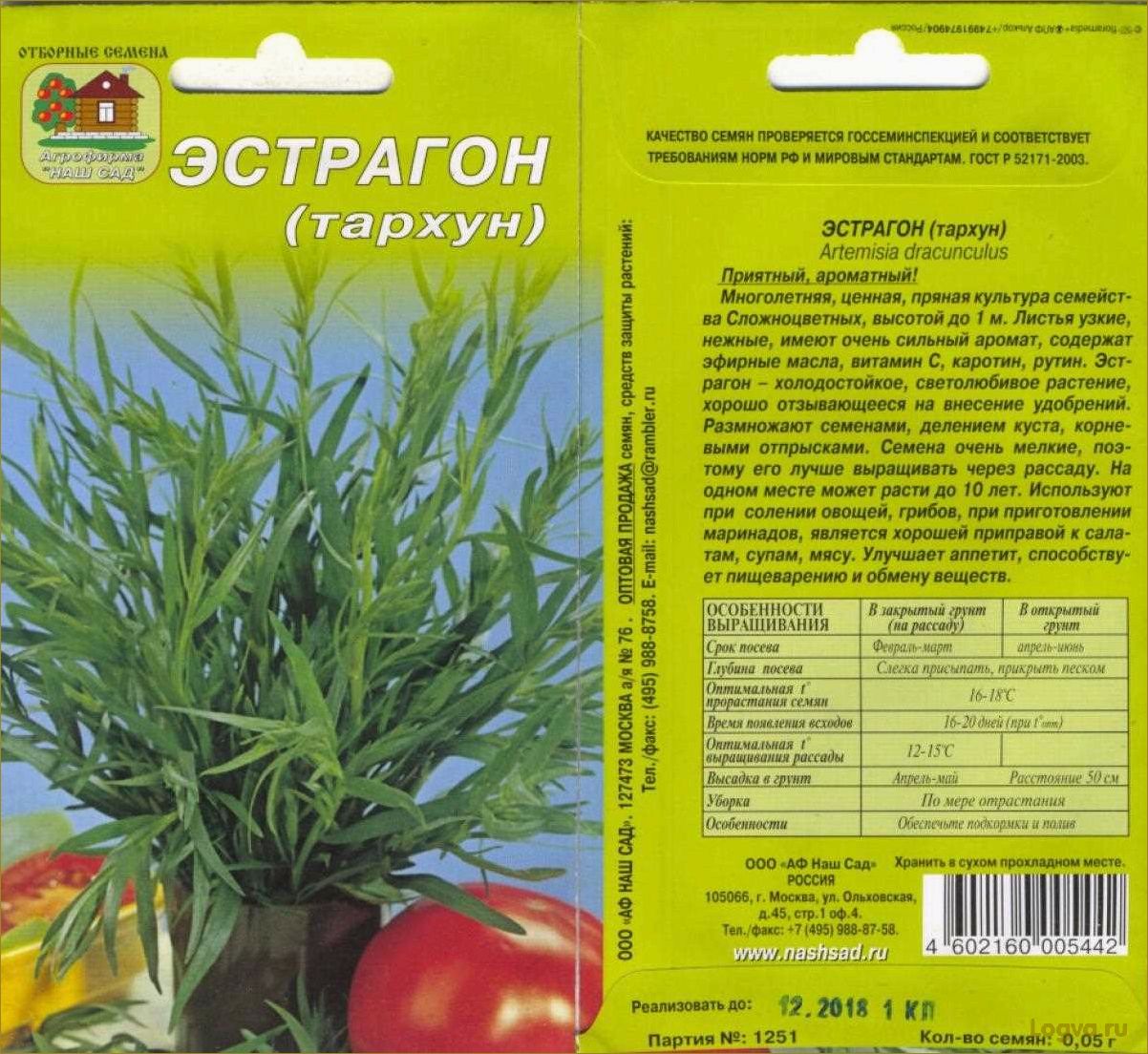 Польза и вкус эстрагона: свойства полыни, которая прекрасно украсит вашу кухню
