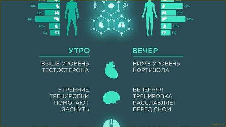 Тренировки по утрам, тренировки утром или вечером