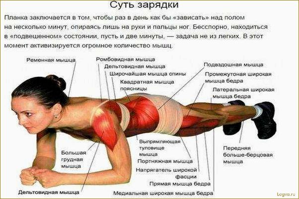 Упражнения для груди: эффективные тренировки для развития грудных мышц