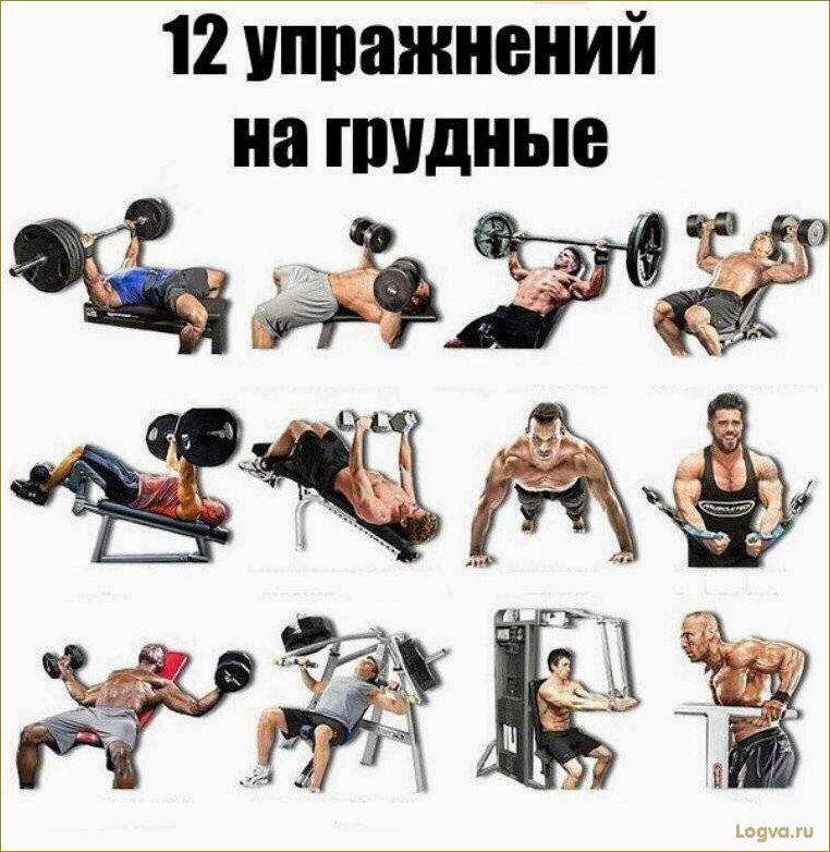 Упражнения для груди: эффективные тренировки для развития грудных мышц