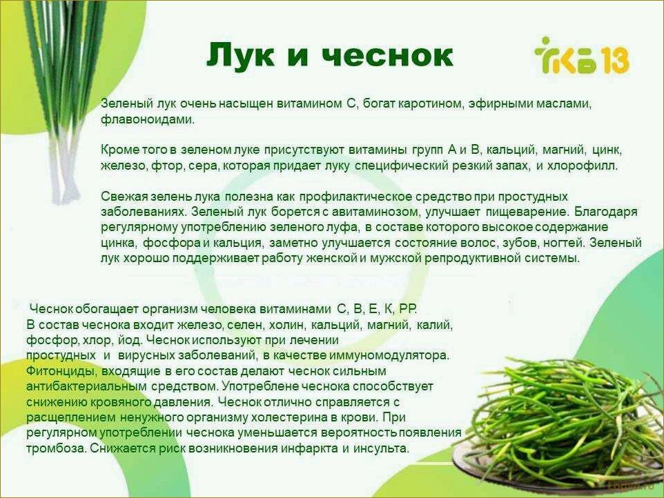Укроп. Зелень здоровья