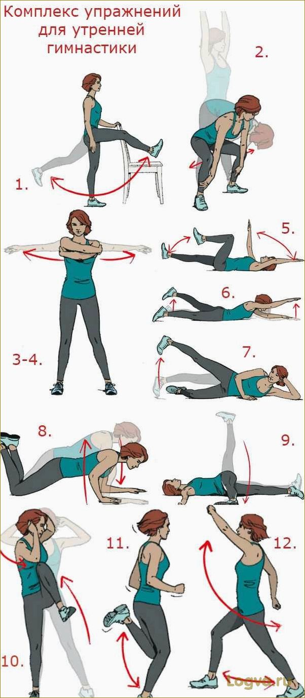 (утренняя, зарядка, комплекс, упражнений) Утренняя зарядка: комплекс упражнений