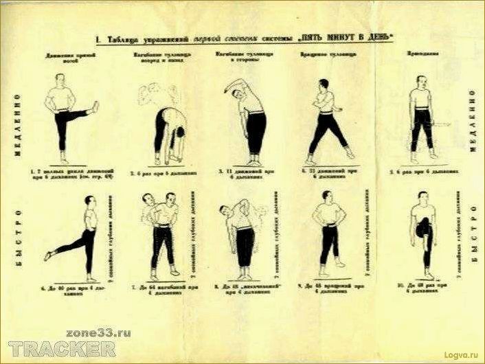 (утренняя, зарядка, комплекс, упражнений) Утренняя зарядка: комплекс упражнений