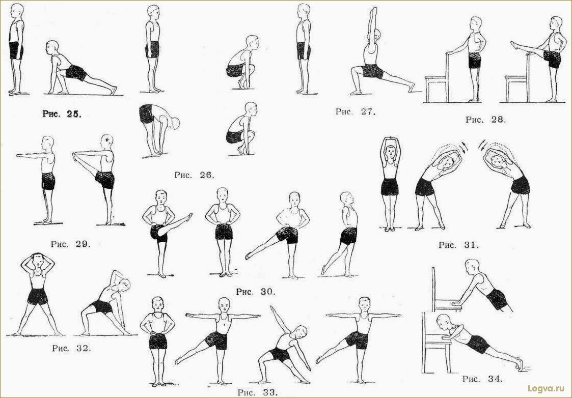 (утренняя, зарядка, комплекс, упражнений) Утренняя зарядка: комплекс упражнений