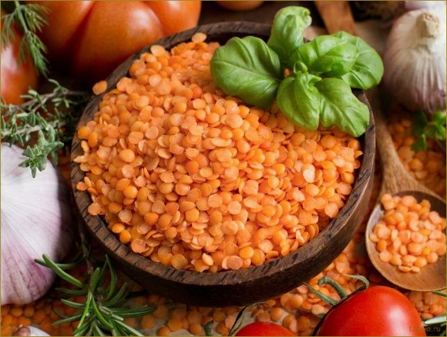 Царица Чечевица: вкусные и полезные рецепты блюд с чечевицей