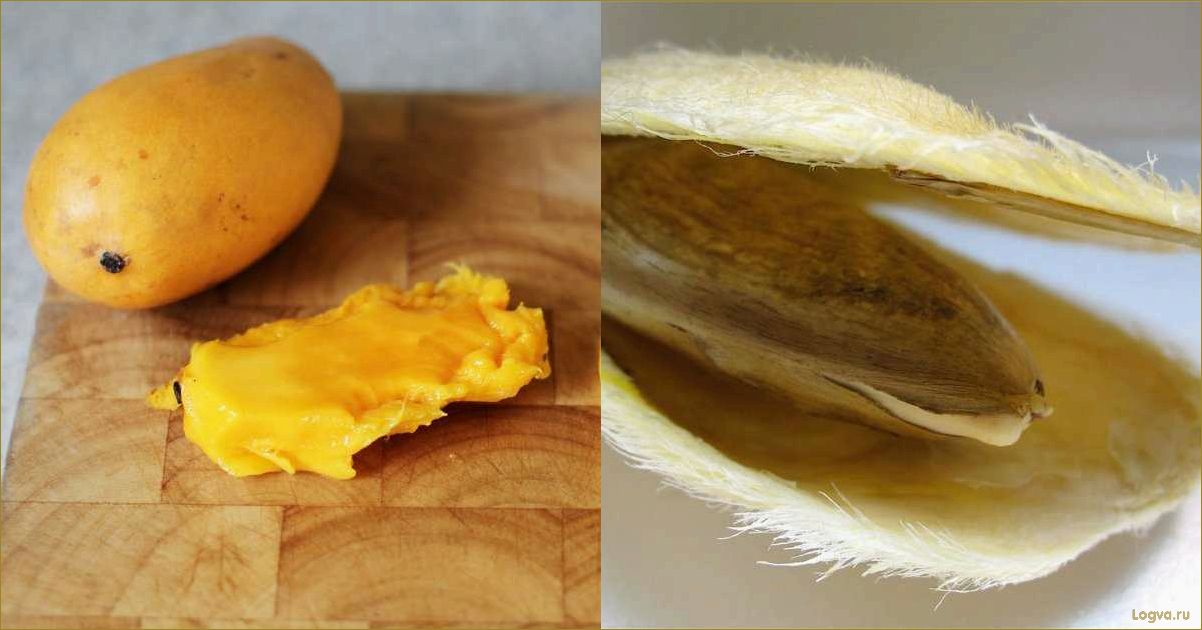 (фрукт, манго, полезные, свойства, правильно) Фрукт манго: полезные свойства. Как правильно есть манго и можно ли есть косточку?