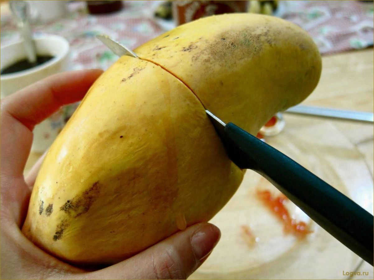 (фрукт, манго, полезные, свойства, правильно) Фрукт манго: полезные свойства. Как правильно есть манго и можно ли есть косточку?