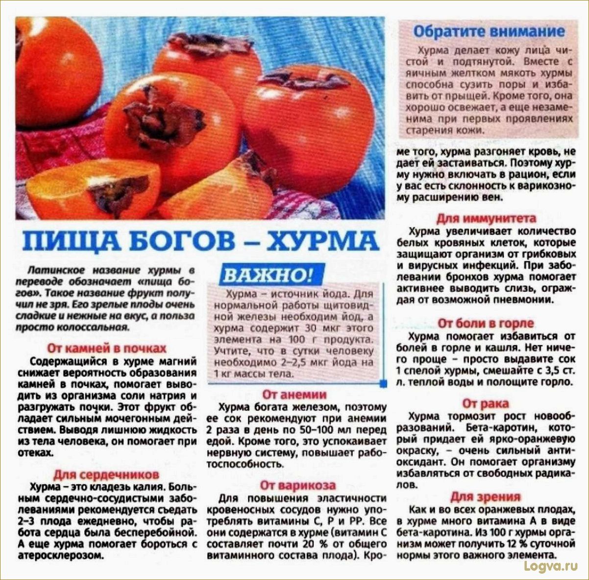 Хурма: полезные свойства, калорийность, польза и вред, хурма для похудения, хурма при беременности и для кормящих