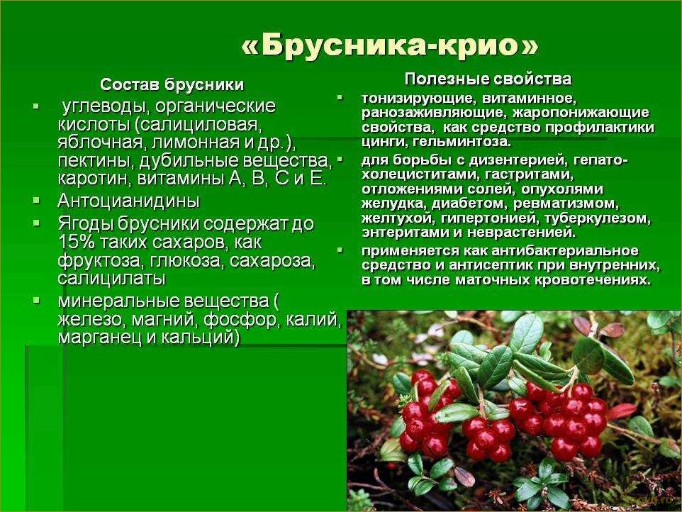 (целебные, свойства, брусники) Целебные свойства брусники
