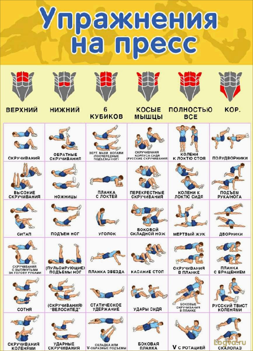 Эффективные упражнения для пресса!