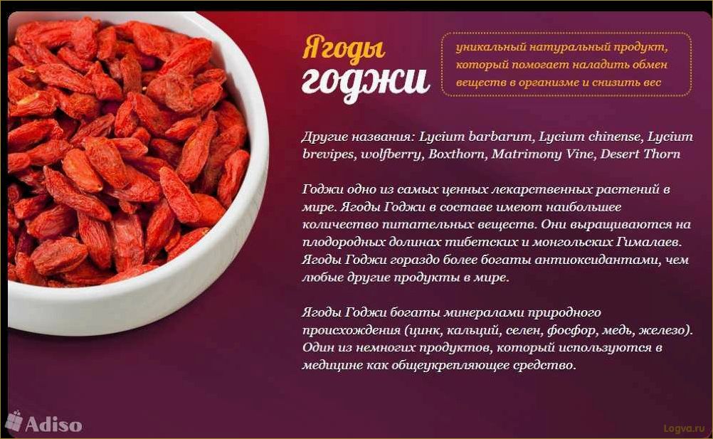 (ягоды, годжи, применение, свойства, похудения) Ягоды Годжи: применение, свойства для похудения. Как употреблять ягоды годжи