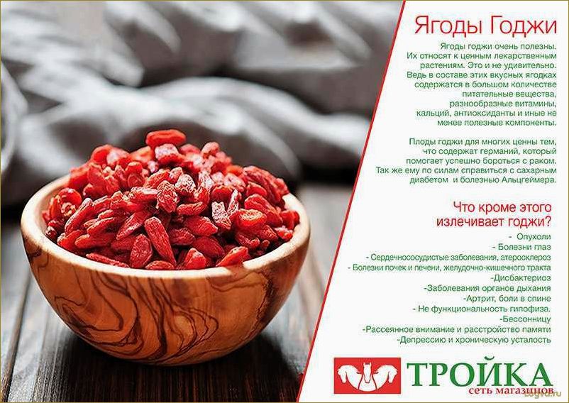 (ягоды, годжи, применение, свойства, похудения) Ягоды Годжи: применение, свойства для похудения. Как употреблять ягоды годжи