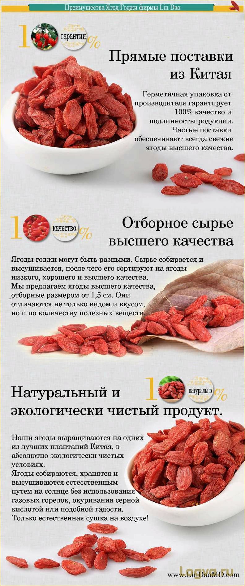 (ягоды, годжи, применение, свойства, похудения) Ягоды Годжи: применение, свойства для похудения. Как употреблять ягоды годжи