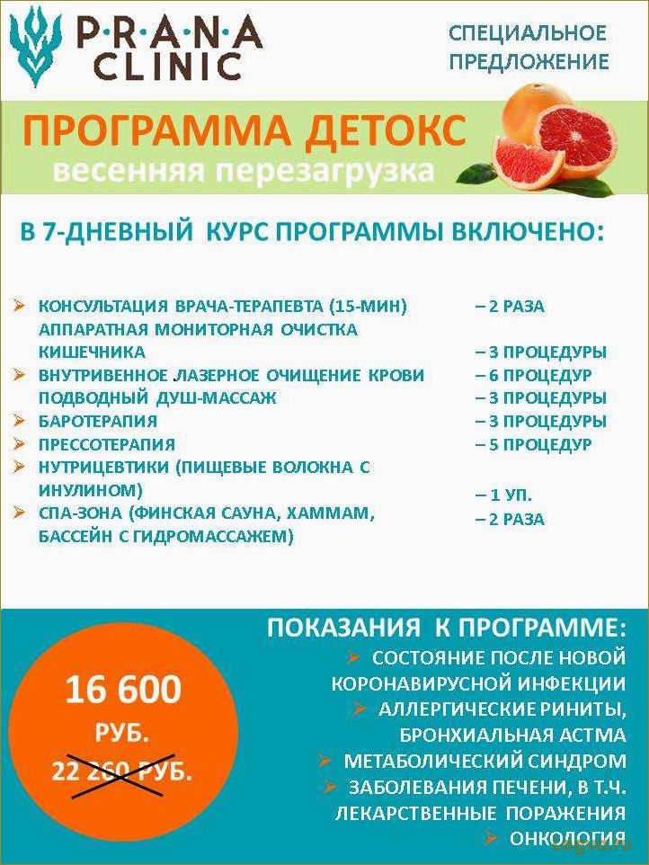 (эффективные, детокс, программы, генеральная, уборка) Эффективные детокс программы. Генеральная уборка в собственном организме