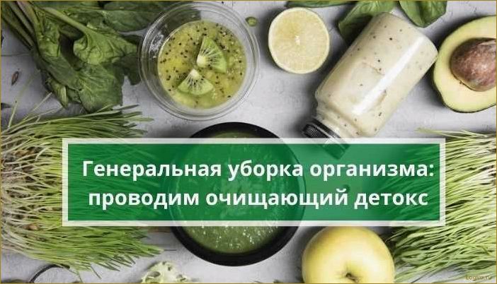 (эффективные, детокс, программы, генеральная, уборка) Эффективные детокс программы. Генеральная уборка в собственном организме
