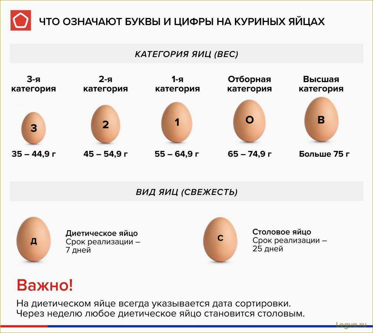 (яйца, польза, вред) Яйца: польза и вред